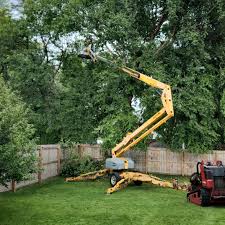 Best Tree Risk Assessment  in Oak Grove, AL